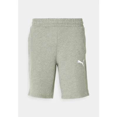 Afbeelding van Puma Teamgoal Casuals Shorts Korte broeken, Heren, Maat: XL, Medium gray heather/white
