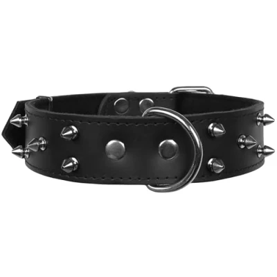 Afbeelding van Zwarte, Leren Halsband met Spikes, Hondenhalsband 40mm/57cm