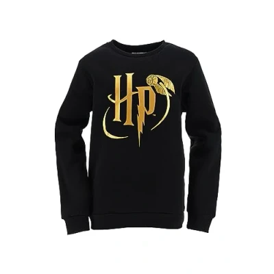 Afbeelding van HARRY POTTER, Sweatshirt voor jongens of meisjes, zwart.