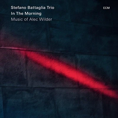Afbeelding van Stefano Battaglia Trio In The Morning (CD)