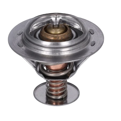 Afbeelding van Febi Bilstein Thermostaat 24555