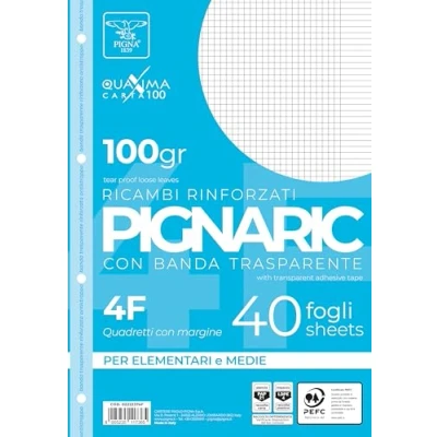 Afbeelding van Pigna 0222374F, vervanging met versterkte band, 4F strepen, 4 mm geruit rand voor en 5. middelgrote hogere elementen, 100 g/m² papier, 40 vellen