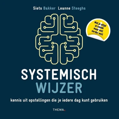 Afbeelding van Systemisch wijzer