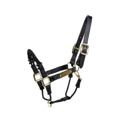 Image de Kentucky Licol Control Nylon Noir Full