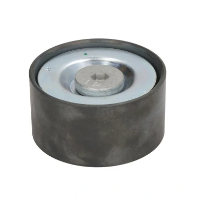 Afbeelding van DAYCO APV2387 Geleiderol