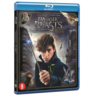 Image de Fantastic Beasts And Where To Find Them / Les Animaux Fantastiques