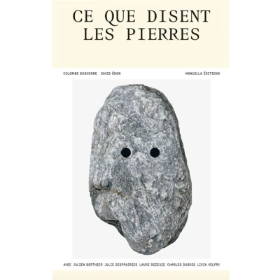 Image de Ce que disent les pierres