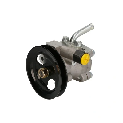 Afbeelding van Lauber Servopomp 55.9941