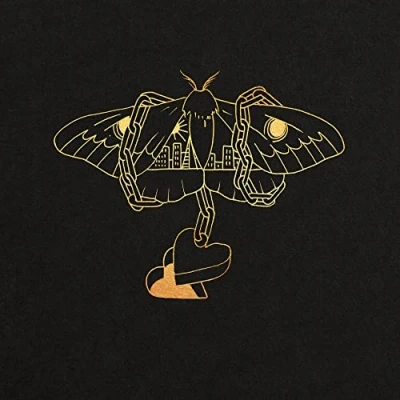 Afbeelding van David Gray Gold In a Brass Age (2 LPs)