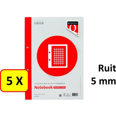 Afbeelding van Cursusblok Quantore A4 80gram ruit 5mm met kantlijn+