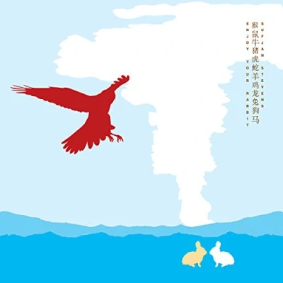 Afbeelding van Sufjan Stevens Enjoy Your Rabbit