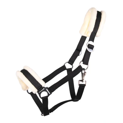 Image de QHP Halter Cali