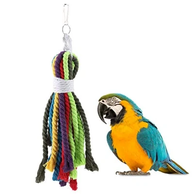 Afbeelding van HEEPDD Kleurrijk Papegaai Touw Speelgoed Natuurlijk Katoen Reiniging Voedende Touwen Vogel Kauwen Bijten Kooi Accessoires voor Amazon Afrikaanse Grijze Kaketoes Conure Dwergpapegaai Lory