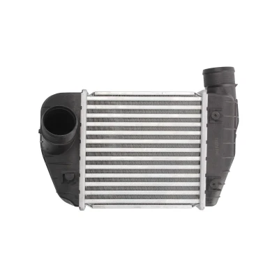 Afbeelding van THERMOTEC DAA013TT Intercooler 200 202 62 AUDI: A6 C6 Avant