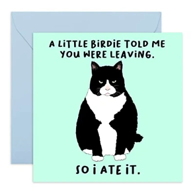 Afbeelding van Central 23 Grappige pensioenkaart &quot;A Little Birdie…You Were Leaving&quot; afscheidskaart voor collega&#039;s Afscheid en Fun Good Luck We will Miss You for Colleagues Geleverd met