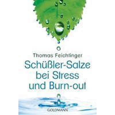 Afbeelding van Schüßler Salze bei Stress und Burn out