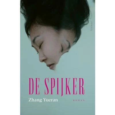 Afbeelding van De spijker