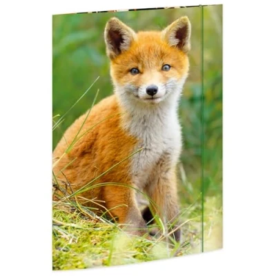 Afbeelding van RNKVerlag Classeur à dessin « Renard » 320 x 430 mm, pour formats jusqu&#039;à DIN A3, avec fermeture élastique, 1 pièce