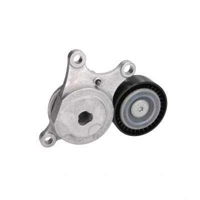 Afbeelding van Skf Spanrol (poly) V riem VKM 38515