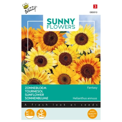Afbeelding van Sunny flowers music box Buzzy