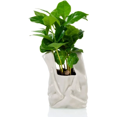 Afbeelding van Not A Plastic Bag Potje