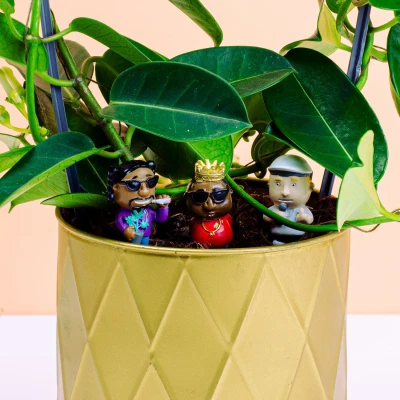 Afbeelding van Bloempot Rappers (set Van 4)