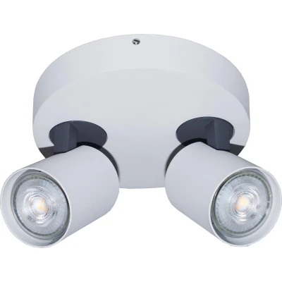 Afbeelding van Artdelight Plafondlamp Vivaro 2L Rond Wit / Antraciet 2x LED 4,9W 2200K 2700K IP20 Dim To Warm