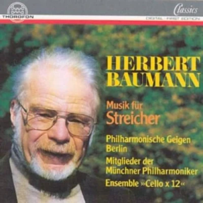 Afbeelding van Musik Fuer Streicher