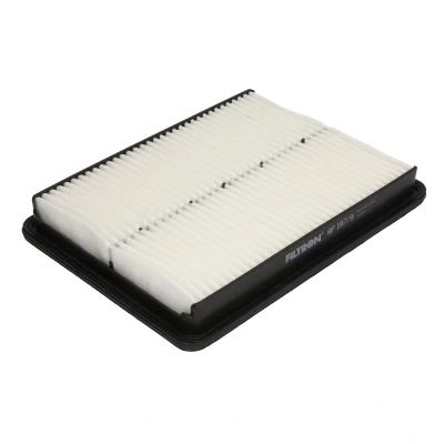Afbeelding van FILTRON AP 197/9 Luchtfilter 36 227 298 Filter insert KIA: SORENTO 2, HYUNDAI: Santa FE 3, Grand Fé