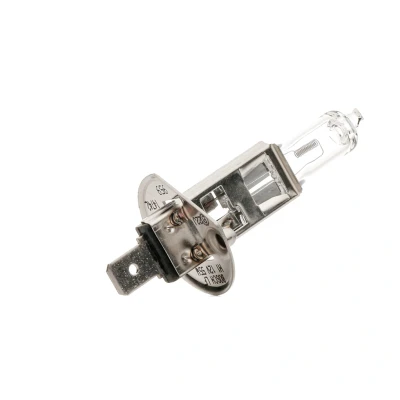 Afbeelding van Bosch Gloeilamp 1 987 301 005