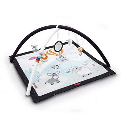 Afbeelding van Zazu Activity GYM Speelkleed ZA 01