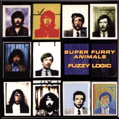 Afbeelding van Super Furry Animals Fuzzy Logic