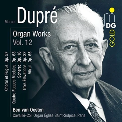 Afbeelding van Ben Van Oosten Organ Works Vol.12 (CD)