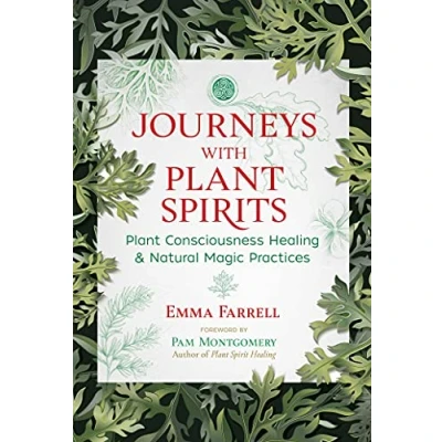 Afbeelding van Journeys with Plant Spirits