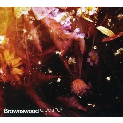 Afbeelding van Brownswood Electric 2