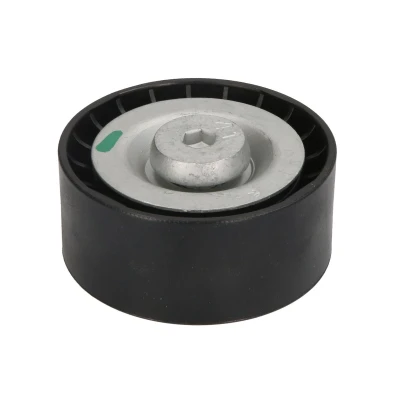 Afbeelding van DAYCO APV2396 Geleiderol