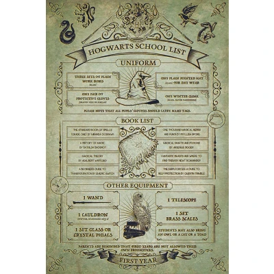 Afbeelding van [Merchandise] Hole in the Wall Harry Potter Maxi Poster