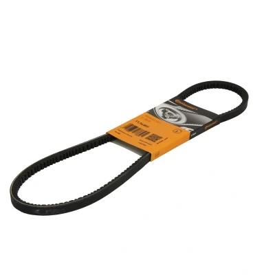 Afbeelding van V riem CONTINENTAL CTAM 11,9X903Ld