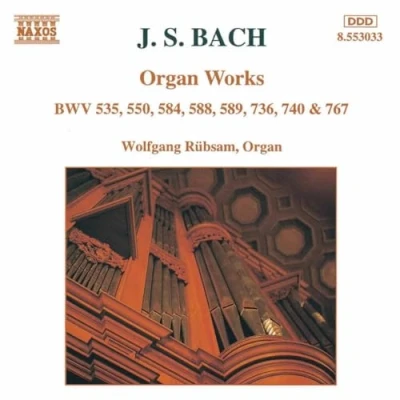 Afbeelding van Wolfgang Rübsam Organ Works (CD)