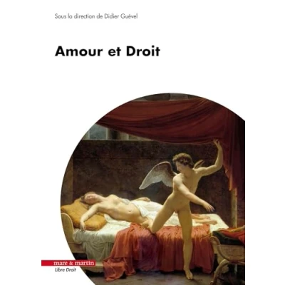 Afbeelding van AMOUR ET DROIT
