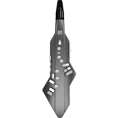 Afbeelding van Roland AE 05 Aerophone GO Digitale synthesizer