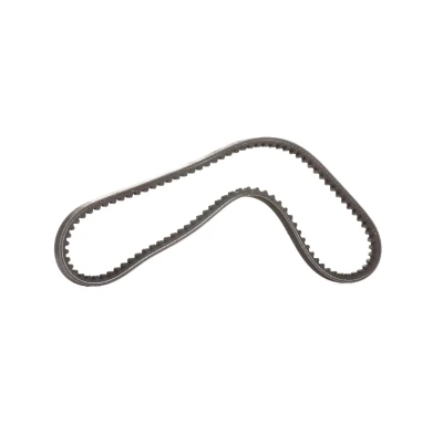 Afbeelding van Gates V riem 6389MC