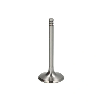 Afbeelding van TRW Engine Component 33403 Inlaatklep 39,5 Klepsteeleind gehard VOLKSWAGEN: Golf 6, 5, Polo IV Hatchback, SKODA: Fabia I SEAT: Ibiza 3