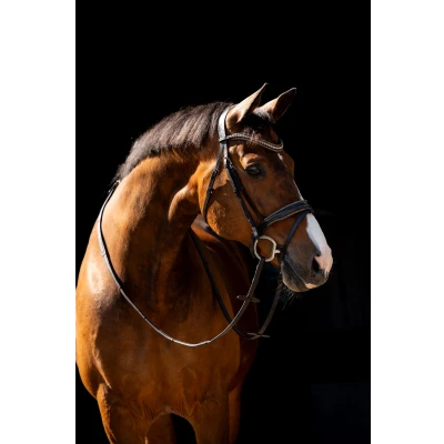 Image de HB Bride Jump Rocky Paillettes MarronVendu par Agradi