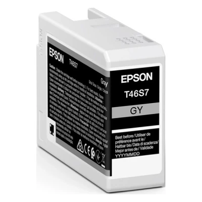 Image de Cartouche d&#039;encre Epson T46S7 25 ml Gris anthracite