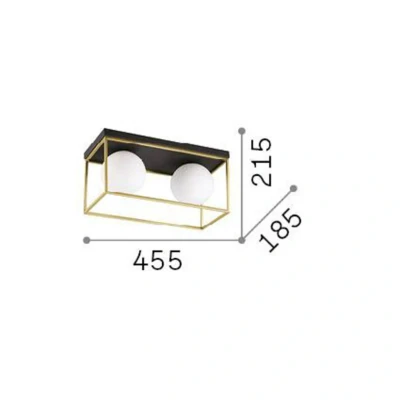Afbeelding van Ideal Lux plafondlamp Lingotto, 2 lamps, zwart, opaal glas