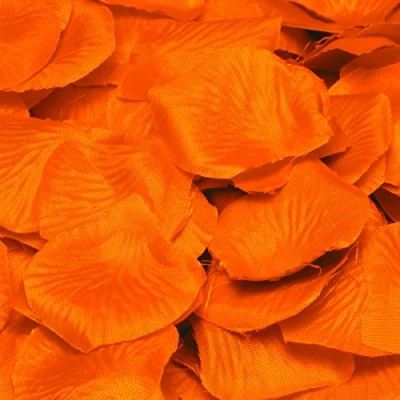 Afbeelding van Folat Luxe rozenblaadjes Oranje 144 stuks