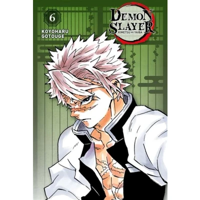 Image de Demon Slayer Edition Pilier T06