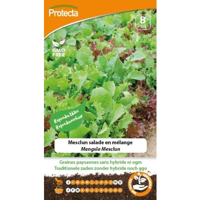 Afbeelding van Protecta Groente Zaden Mengsla Mesclun