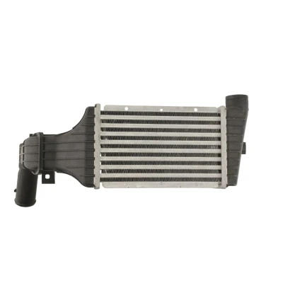 Afbeelding van THERMOTEC DAX001TT Intercooler